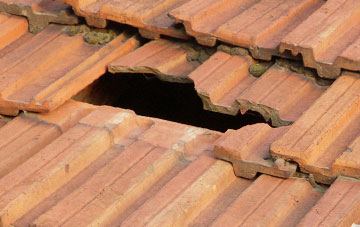 roof repair Sadgill, Cumbria